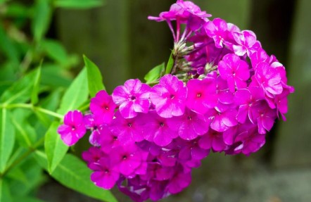 Ferienhaus Waterkant