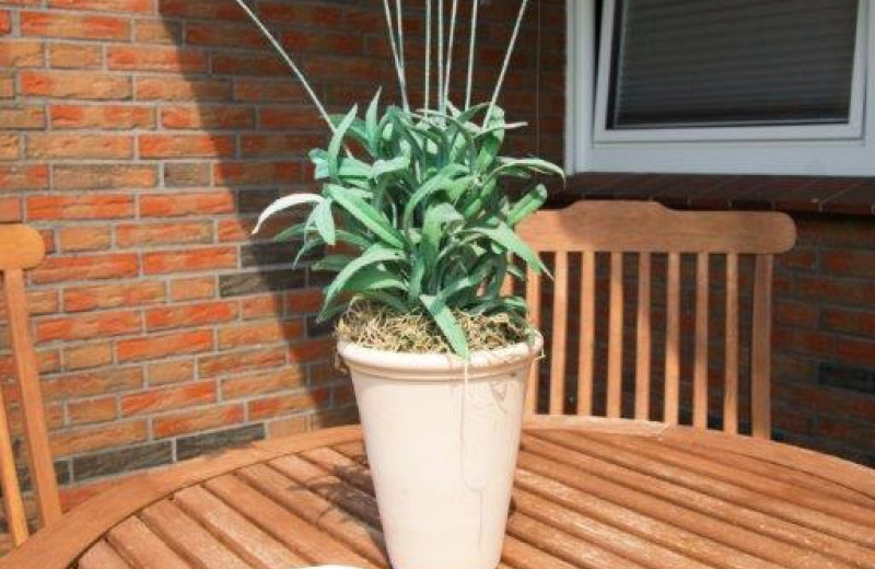 Ferienwohnung Strandbox