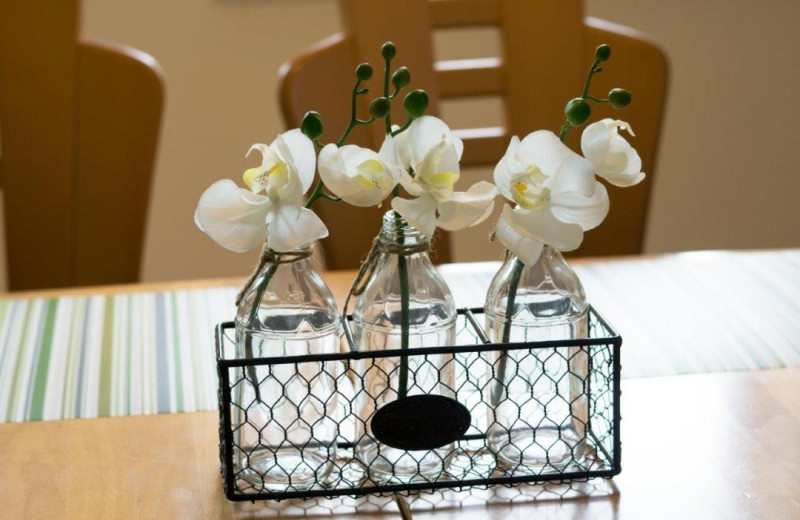 Ferienhaus Waterkant